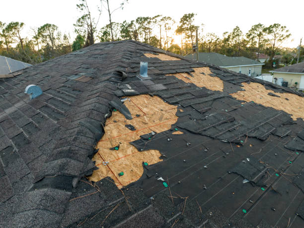 Asphalt Shingles Roofing in New Union, TN